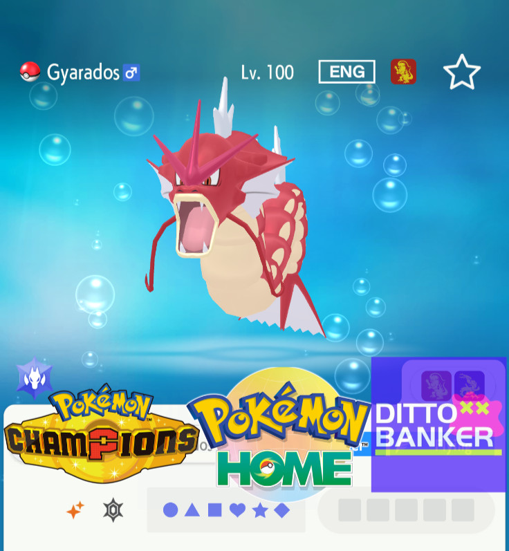 Pokemon Champions/Home Shiny GYARADOS Transfér to HOME Lv.100 Competitive 6IV