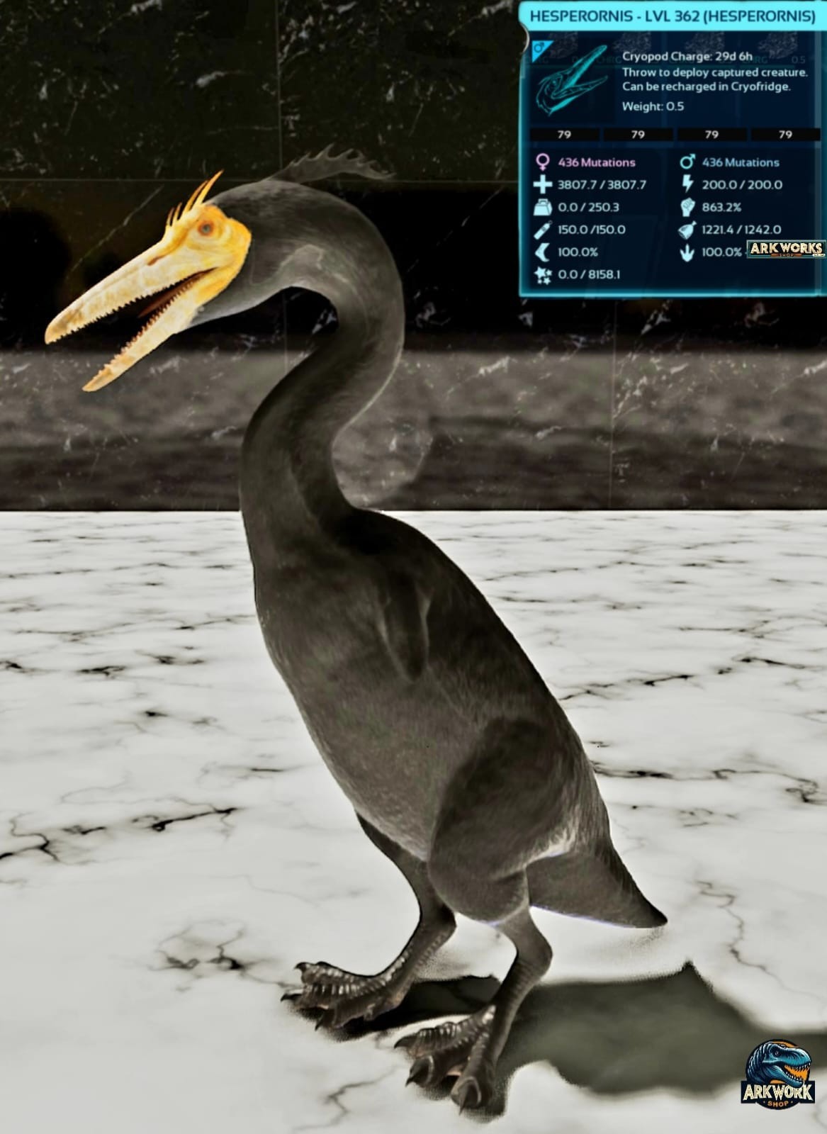🦖ARK Survival Ascended Hesperornis Top Stats PVE PS5/XBOX/PC