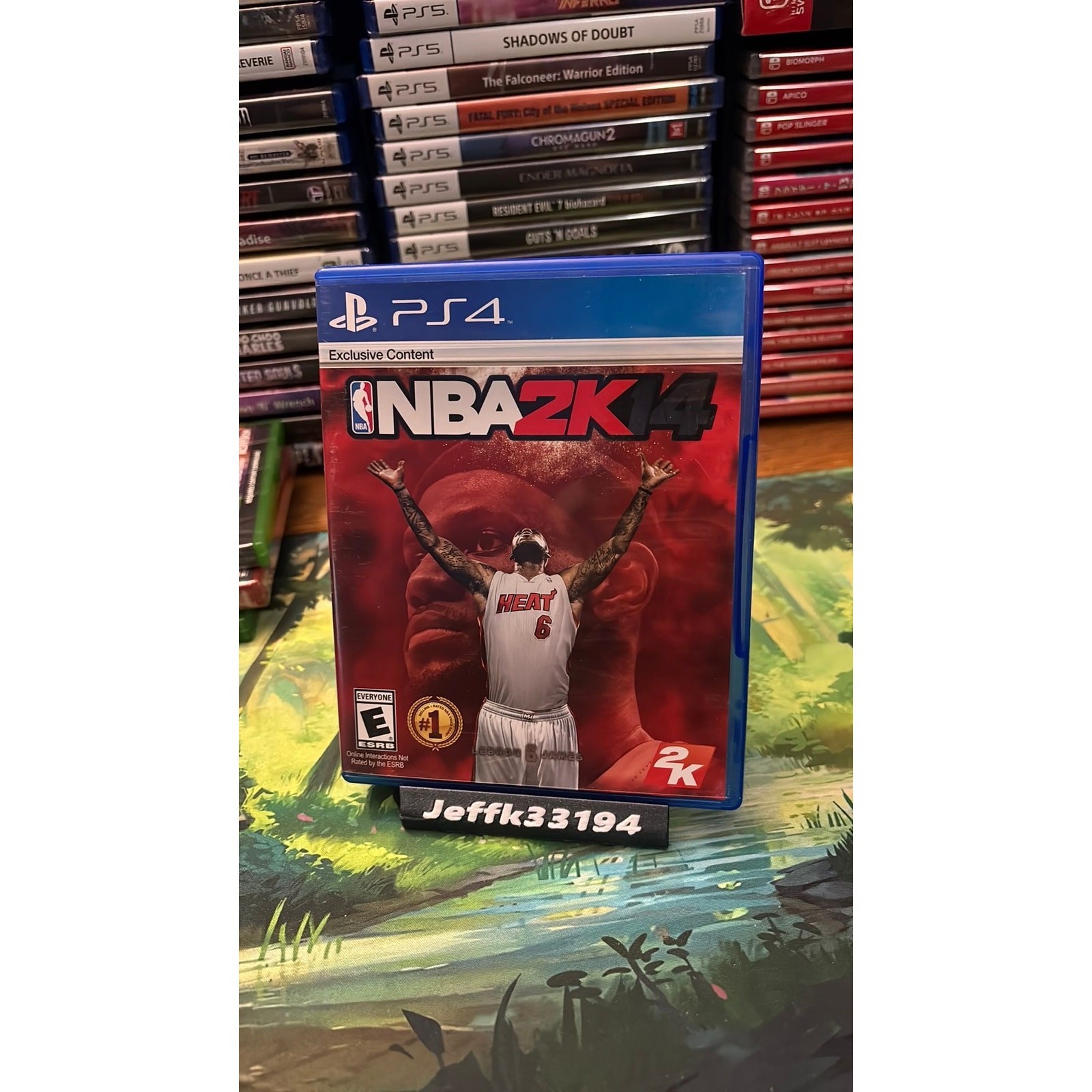 NBA 2k14 (PS4)