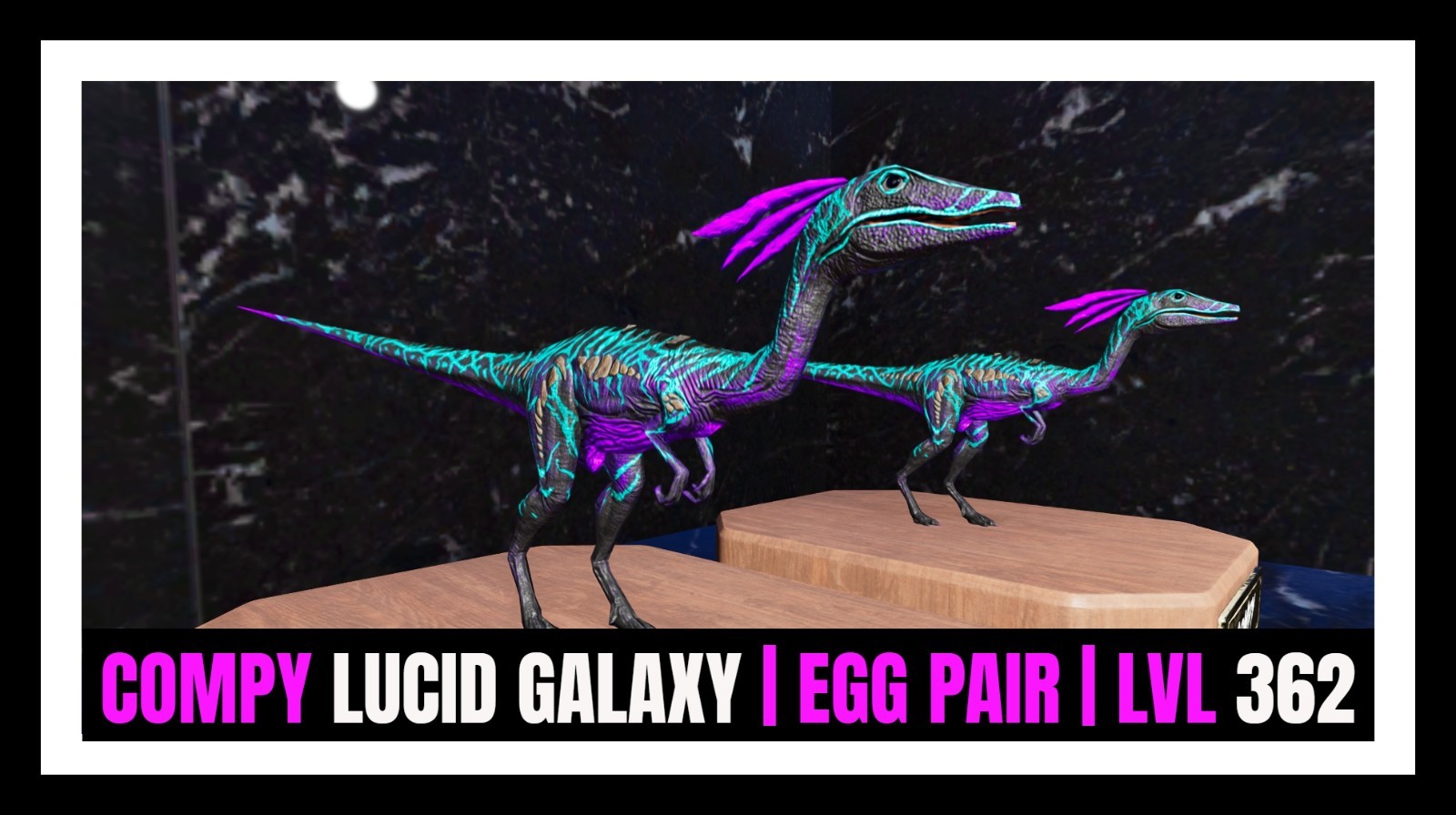 ARK Survival Ascended PvE COMPY LUCID GALAXY SPIDER Pair PC/XBOX/PS5 ASA