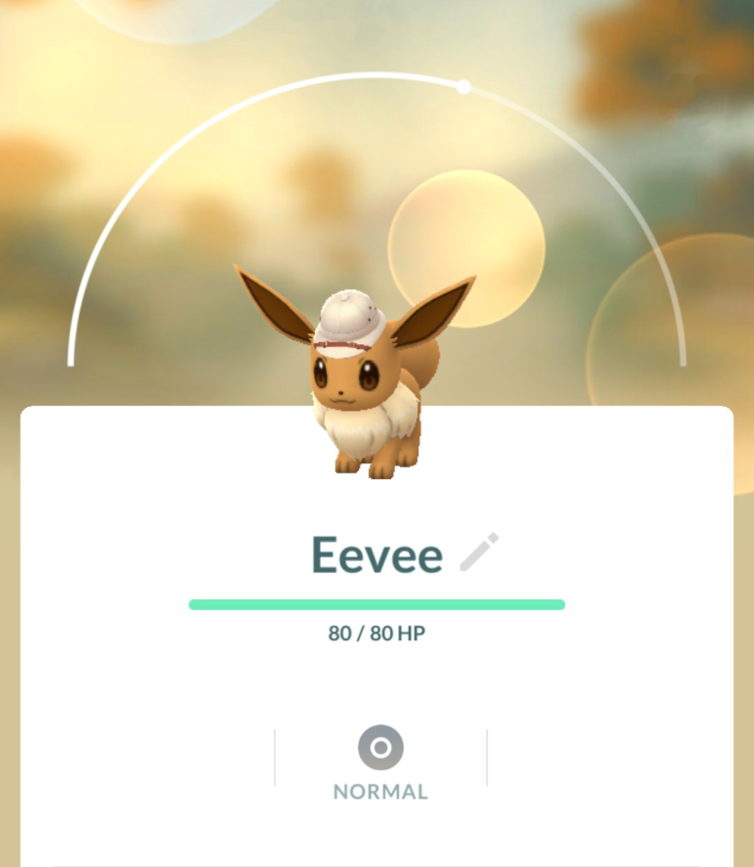Explorer Hat Eevee ✨ Pokémon Go ✨ Safari Zone ✨ shiny ✨ & Non-Shiny