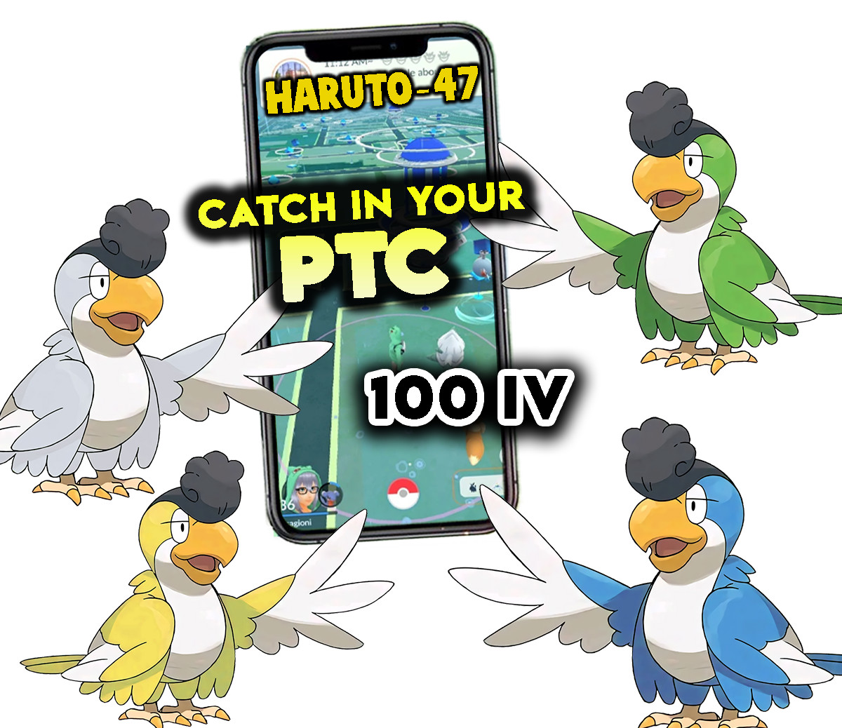 Pokemon Squawkabilly 100 IV – Yellow, Green, White & Blue Catch in your P T C